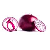 Zwiebel rot