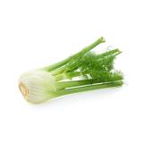 Fenchel