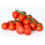 Tomaten Cocktail