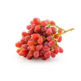 Traube rot kernlos