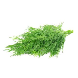 Bund Dill