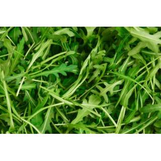 Rucola