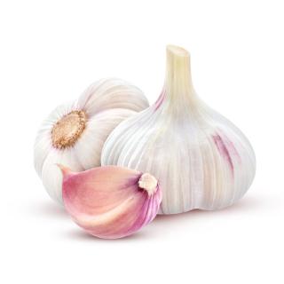 Knoblauch frisch