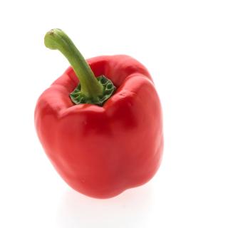 Paprika rot