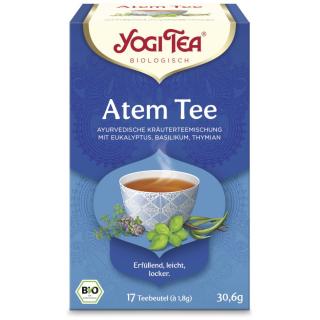 Yogi Atem Tee 17 Tbt