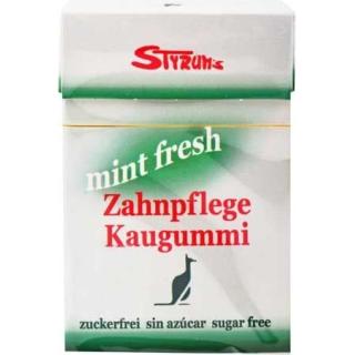 Kaugummi Mint 33g STY