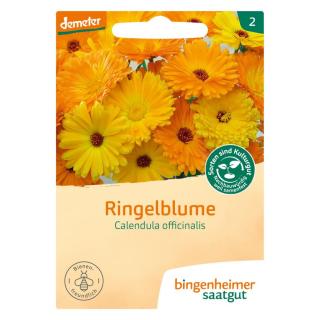 Ringelblume Calendula BIN