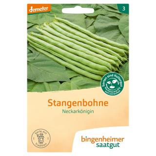 Stangenbohne Neckarkönigin BIN