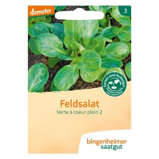 Feldsalat vert á coeur plein 2 BIN