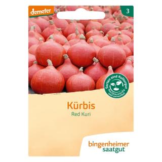 Kürbis Hokkaido Red Kuri BIN