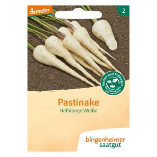 Pastinake Halblange Weiße BIN