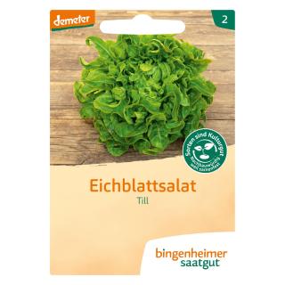 Eichblattsalat grün Till BIN