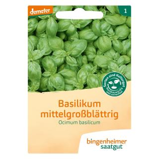 Basilikum mittelgroß BIN