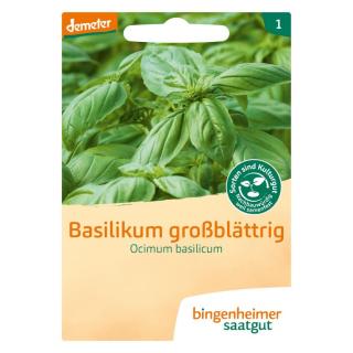Basilikum großblättrig BIN
