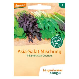 Asia Salat Mischung BIN