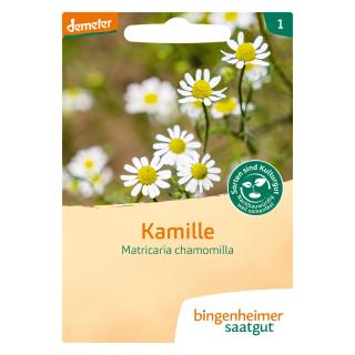Kamille Matricaria chamomilla BIN