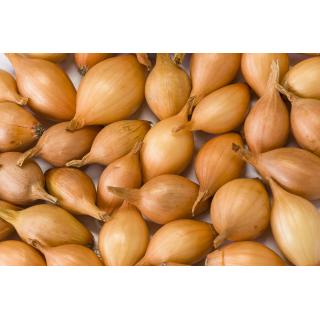 Steckzwiebeln 250g BIN