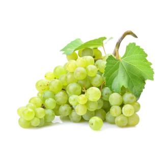 Traube weiß