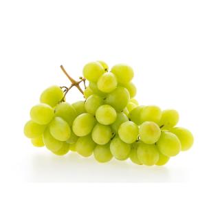 Traube weiß kernlos