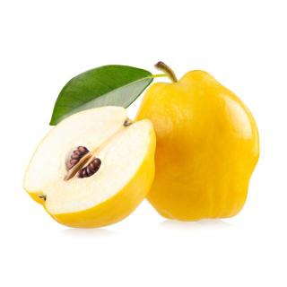 Quitten
