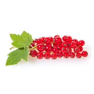 Johannisbeere rot/weiß Schale