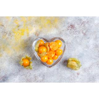 Physalis