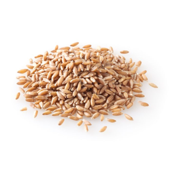 Dinkel regional 25kg FEH