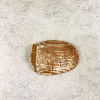 Roggenvollkornbrot 500g F&X