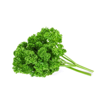 Bund Petersilie kraus