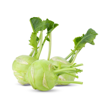 Kohlrabi weiß