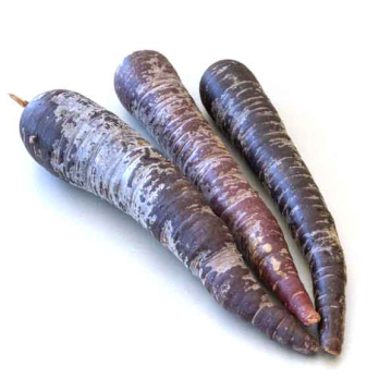 Karotten violett