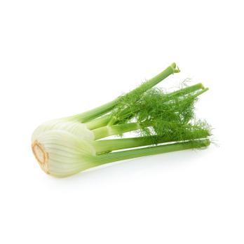 Fenchel