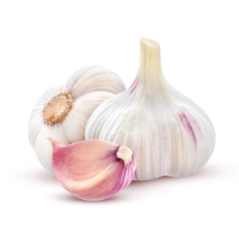 Knoblauch frisch