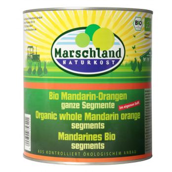 Mandarinen 3100ml Dose MAR