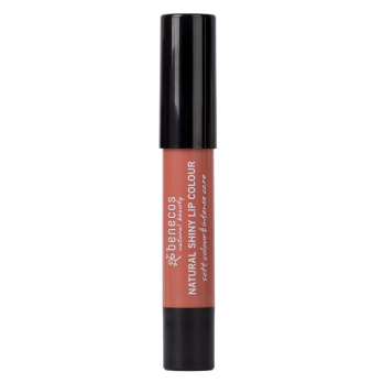 Shiny Lip Colour rusty rose BEN