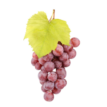 Traube Rot Schale 500g
