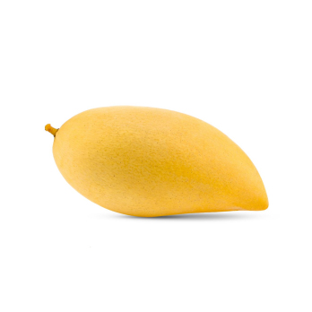 Mango baumgereift