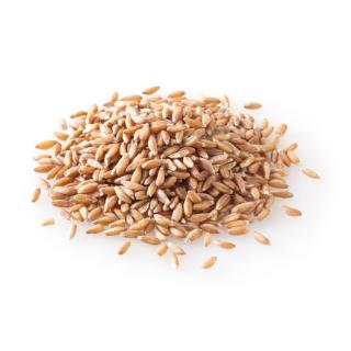 Dinkel regional 25kg FEH