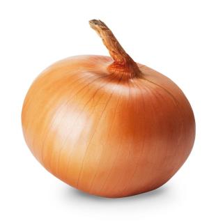 Zwiebel groß - für Gastro