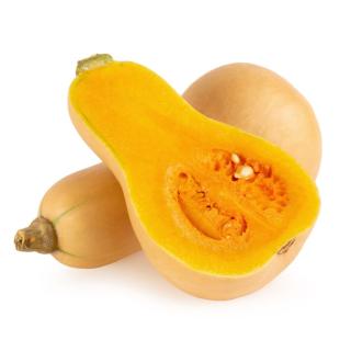 Kürbis Butternut