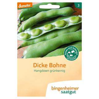 Dicke Bohne Hangdown BIN