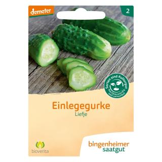 Einlegegurke Liefje BIN
