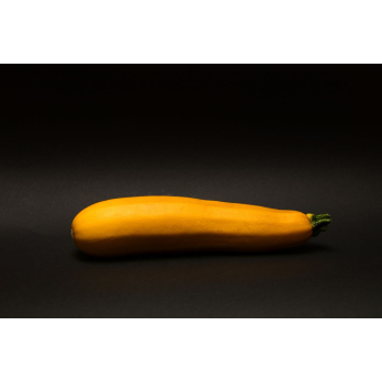Zucchini gelb