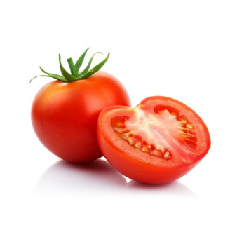 Tomaten Strauch