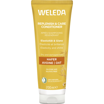 Aufbau Spülung Hafer 200ml WEL