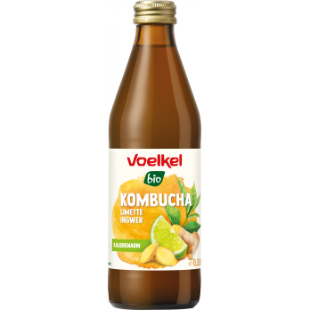 Kombucha Limette & Ingwer 0,33l VOE