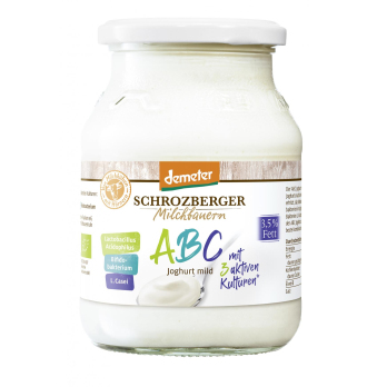 Joghurt der Aktive 500g SBG