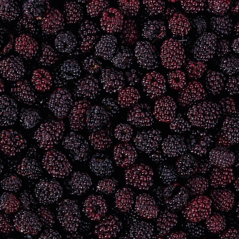 TK Brombeeren 10kg DFE